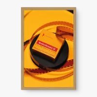 Quadro Decorativo Filme Kodachrome - Quadros de profissões