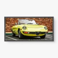 Quadro Decorativo Alfa Romeo Spider | Arte Automotiva
