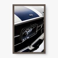 Quadro Decorativo Emblema Ford – Detalhe Automotivo Clássico