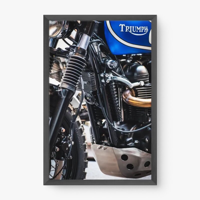 Quadro Decorativo Triumph Motorcycles