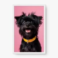 Quadro Decorativo Affenpinscher – Quadro Cachorro Moderno e Divertido