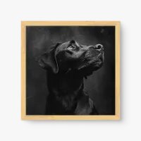 Quadro Decorativo Labrador Black - Quadros de animais Quadro Decorativo Labrador Black - Quadros de animais