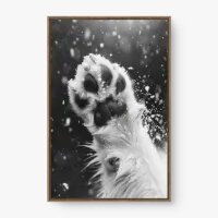 Quadro Decorativo Almofadinhas - Quadros de animais Quadro Decorativo Almofadinhas - Quadros de animais