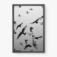 Quadro Decorativo Captura de Voo – Arte em Aquarela e Liberdade Quadro Decorativo Captura de Voo – Arte em Aquarela e Liberdade