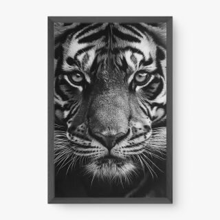 quadro decorativo quadro decorativo