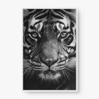 Quadro Decorativo Close no Tigre PB – Arte Moderna e Intensa