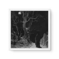 Quadro Decorativo Eremita na Floresta - Quadros de caveiras Quadro Decorativo Eremita na Floresta - Quadros de caveiras