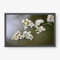 Quadro Decorativo Florescer Sereno – Delicadeza e Harmonia