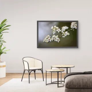 quadro decorativo