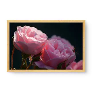 quadro decorativo quadro decorativo