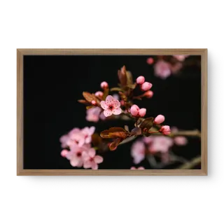 quadro decorativo quadro decorativo