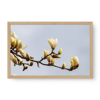 quadro decorativo quadro decorativo