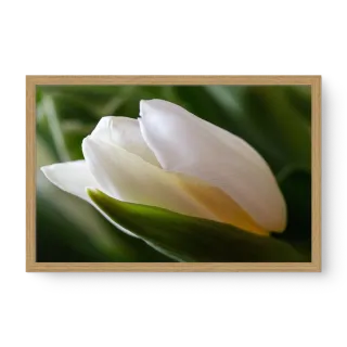 quadro decorativo quadro decorativo