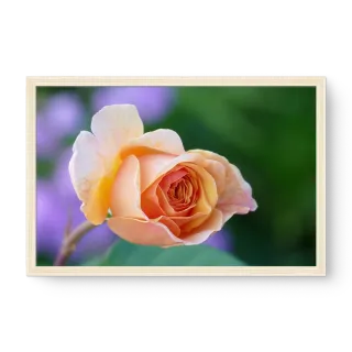 quadro decorativo quadro decorativo