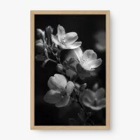 Quadro Decorativo Flores Iluminadas - Quadros de flores