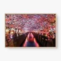 Quadro Decorativo Rio Meguro