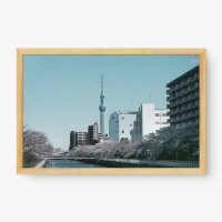 Quadro Decorativo Primavera em Tóquio Quadro Decorativo Primavera em Tóquio