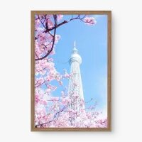 Quadro Decorativo Tokyo Skytree I Quadro Decorativo Tokyo Skytree I