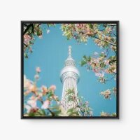 Quadro Decorativo Tokyo Skytree IV – Primavera em Tóquio