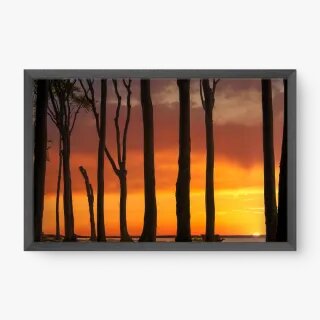 quadro decorativo quadro decorativo