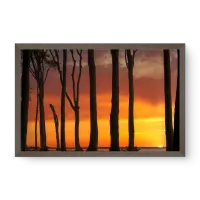 Quadro Decorativo Entardecer na Floresta – quadro pôr do sol na floresta