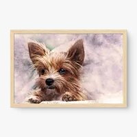 Quadro Decorativo Baby Yorkshire – Quadro Cachorro Fofo