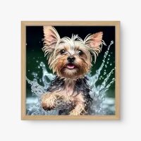 Quadro Decorativo Delicia de Banho - Quadros de animais