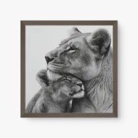 Quadro Decorativo Proteção Materna – Quadro Leoa e Filhote