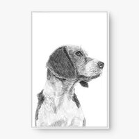 Quadro Decorativo Basset Desenhado - Quadros de animais