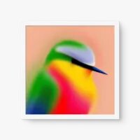 Quadro Decorativo Leveza Tropical - Quadrart Quadro Decorativo Leveza Tropical - Quadrart