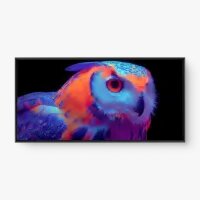 Quadro Decorativo Coruja Vibrante – Arte Colorida e Inspiradora