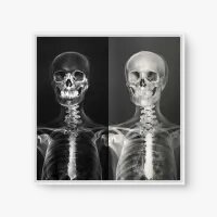 Quadro Decorativo Dupla Visão X – Arte Digital e Contemporânea