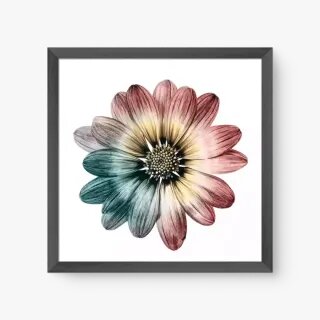 quadro decorativo quadro decorativo