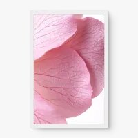 Quadro Decorativo Pétala Rosa – Arte Minimalista e Delicada
