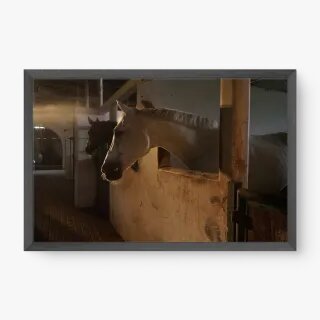 quadro decorativo quadro decorativo