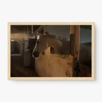 Quadro Decorativo Cavalos Recolhidos – Arte Rural Serena