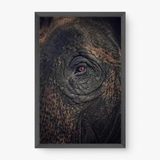 quadro decorativo quadro decorativo