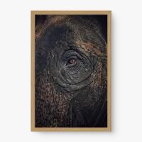 Quadro Decorativo Olhar Profundo – Quadro Leão Moderno