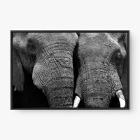 Quadro Decorativo Casal de Elefantes – Quadro de União e Amor