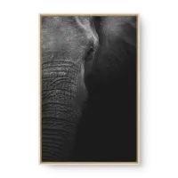 Quadro Decorativo Close no Elefante - Quadros de animais Quadro Decorativo Close no Elefante - Quadros de animais