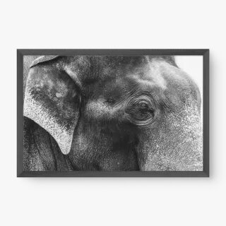 quadro decorativo quadro decorativo