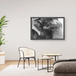 quadro decorativo quadro decorativo