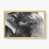 Quadro Decorativo Elefante de Perfil – Quadro Elefante Moderno