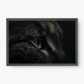 quadro decorativo quadro decorativo