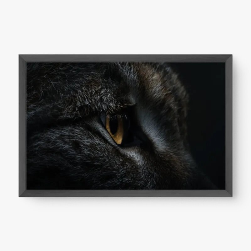 quadro decorativo quadro decorativo