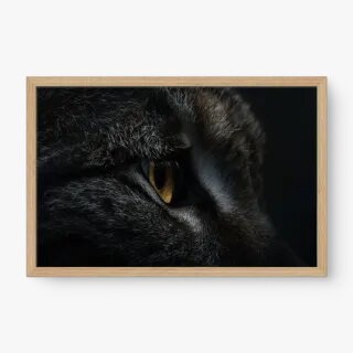 quadro decorativo quadro decorativo