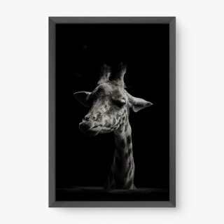 quadro decorativo quadro decorativo