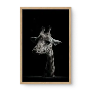 quadro decorativo quadro decorativo