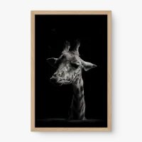 Quadro Decorativo Girafa PB – Quadro Preto e Branco Moderno