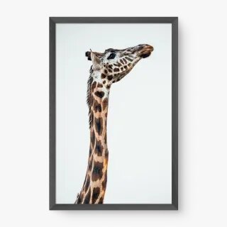 quadro decorativo quadro decorativo